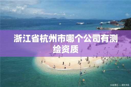 浙江省杭州市哪个公司有测绘资质