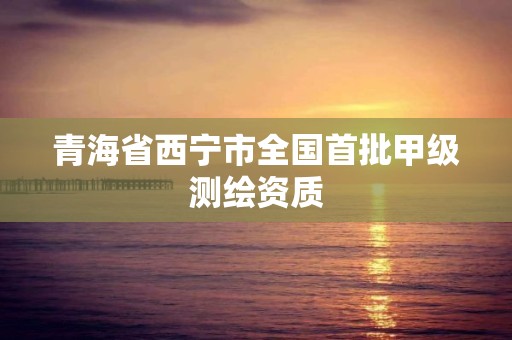 青海省西宁市全国首批甲级测绘资质