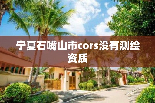 宁夏石嘴山市cors没有测绘资质