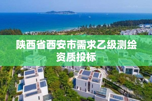 陕西省西安市需求乙级测绘资质投标