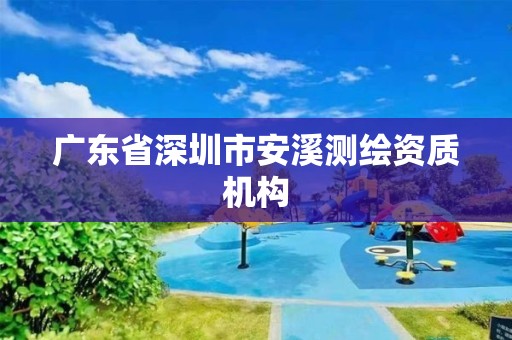 广东省深圳市安溪测绘资质机构