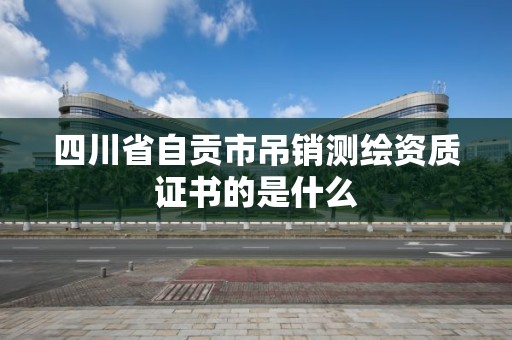 四川省自贡市吊销测绘资质证书的是什么