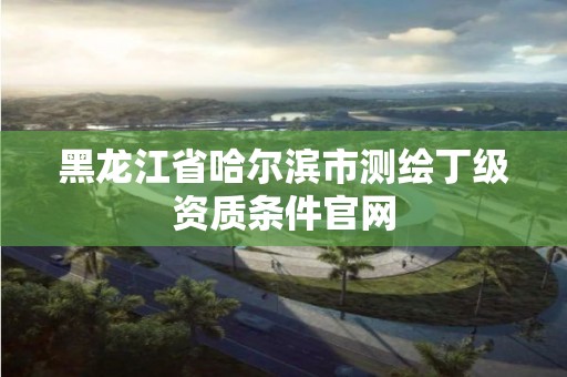 黑龙江省哈尔滨市测绘丁级资质条件官网