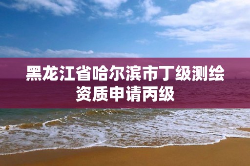 黑龙江省哈尔滨市丁级测绘资质申请丙级