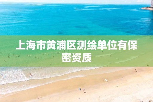 上海市黄浦区测绘单位有保密资质