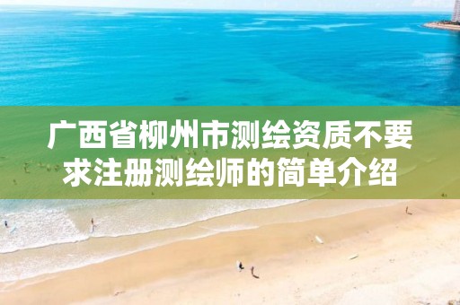 广西省柳州市测绘资质不要求注册测绘师的简单介绍