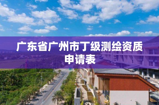 广东省广州市丁级测绘资质申请表