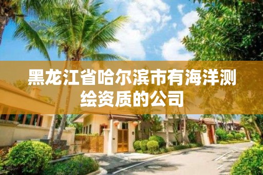 黑龙江省哈尔滨市有海洋测绘资质的公司