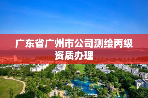 广东省广州市公司测绘丙级资质办理