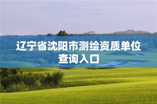 辽宁省沈阳市测绘资质单位查询入口