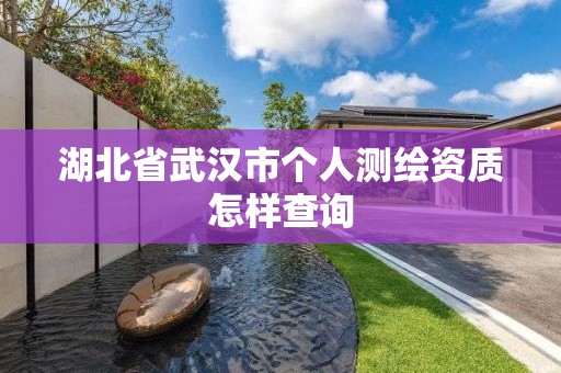 湖北省武汉市个人测绘资质怎样查询