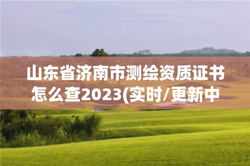 山东省济南市测绘资质证书怎么查2023(实时/更新中) 山东省济南市测绘资质证书怎么查2023(实时/更新中)