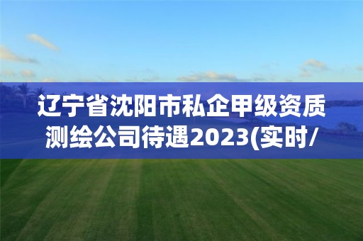 辽宁省沈阳市私企甲级资质测绘公司待遇2023(实时/更新中)