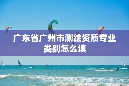 广东省广州市测绘资质专业类别怎么填