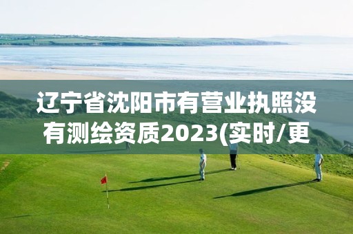 辽宁省沈阳市有营业执照没有测绘资质2023(实时/更新中)