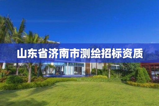 山东省济南市测绘招标资质