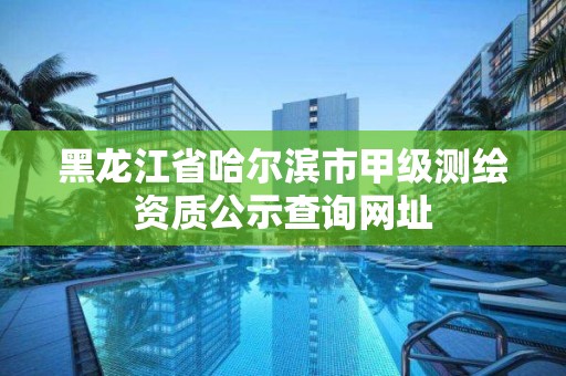 黑龙江省哈尔滨市甲级测绘资质公示查询网址