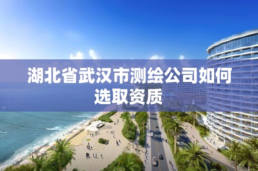 湖北省武汉市测绘公司如何选取资质