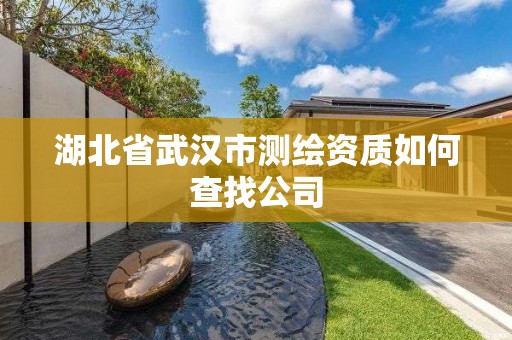 湖北省武汉市测绘资质如何查找公司