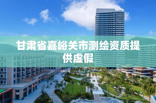 甘肃省嘉峪关市测绘资质提供虚假