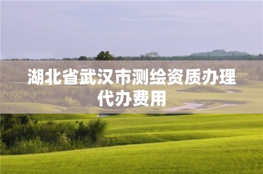 湖北省武汉市测绘资质办理代办费用