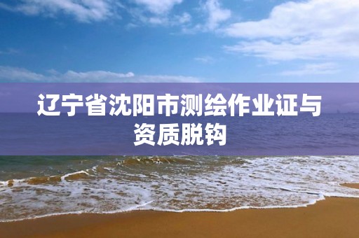 辽宁省沈阳市测绘作业证与资质脱钩