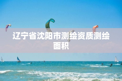 辽宁省沈阳市测绘资质测绘面积