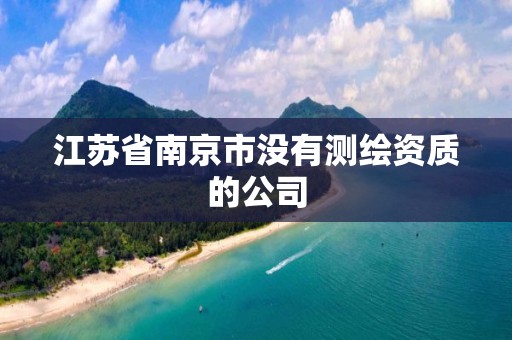 江苏省南京市没有测绘资质的公司