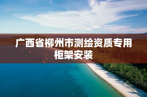 广西省柳州市测绘资质专用柜架安装