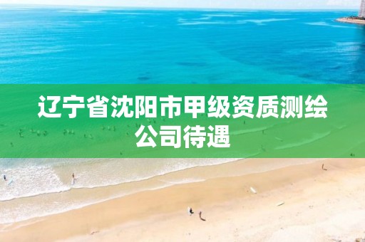 辽宁省沈阳市甲级资质测绘公司待遇