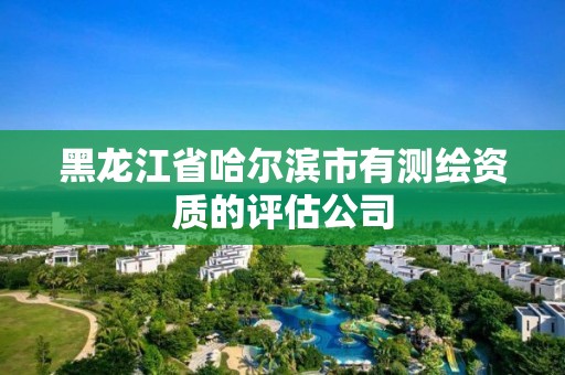 黑龙江省哈尔滨市有测绘资质的评估公司