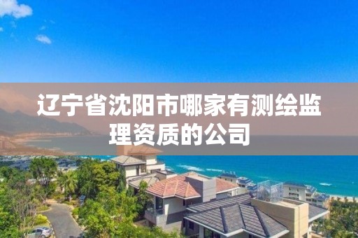 辽宁省沈阳市哪家有测绘监理资质的公司