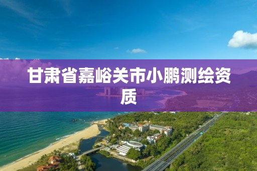 甘肃省嘉峪关市小鹏测绘资质