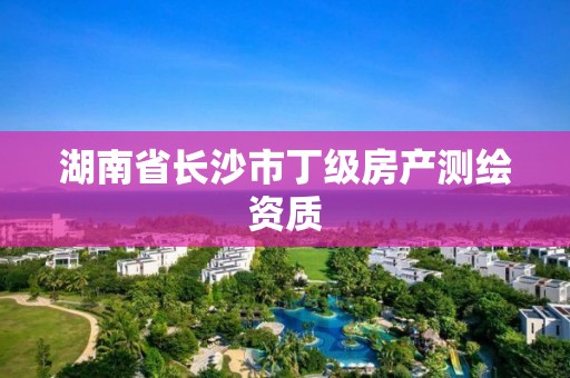 湖南省长沙市丁级房产测绘资质