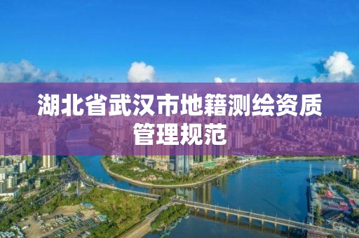 湖北省武汉市地籍测绘资质管理规范