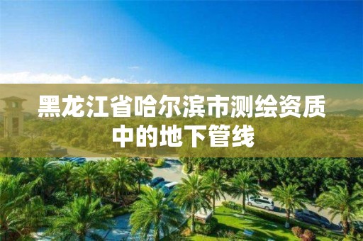 黑龙江省哈尔滨市测绘资质中的地下管线