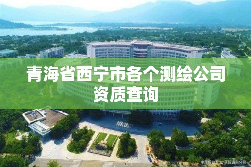 青海省西宁市各个测绘公司资质查询