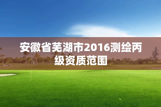 安徽省芜湖市2016测绘丙级资质范围