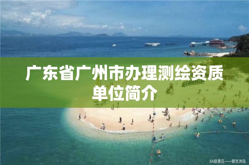 广东省广州市办理测绘资质单位简介