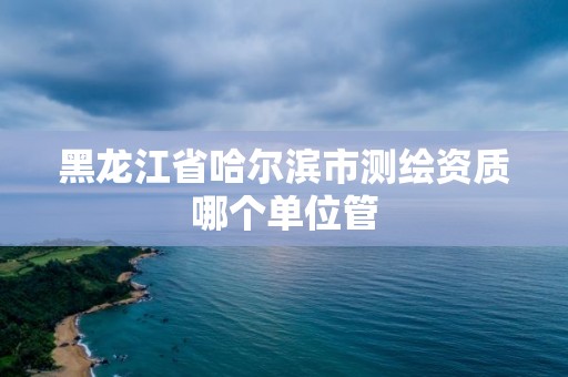 黑龙江省哈尔滨市测绘资质哪个单位管