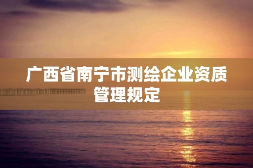 广西省南宁市测绘企业资质管理规定