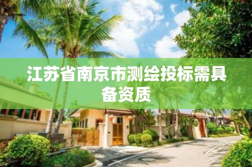 江苏省南京市测绘投标需具备资质