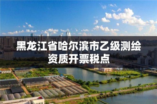 黑龙江省哈尔滨市乙级测绘资质开票税点