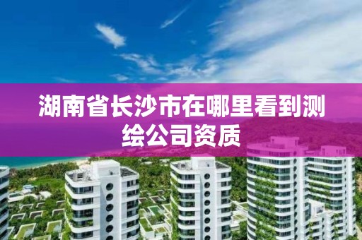 湖南省长沙市在哪里看到测绘公司资质