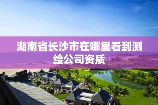湖南省长沙市在哪里看到测绘公司资质 湖南省长沙市在哪里看到测绘公司资质
