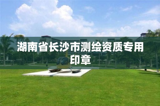 湖南省长沙市测绘资质专用印章