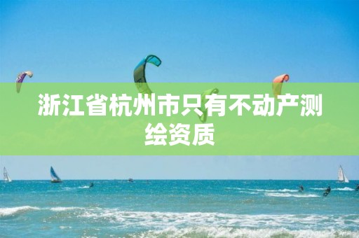 浙江省杭州市只有不动产测绘资质