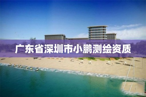 广东省深圳市小鹏测绘资质