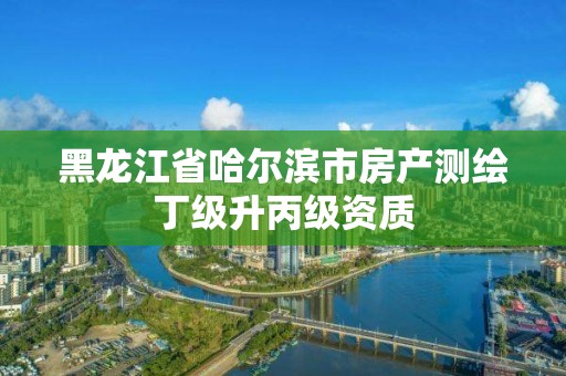 黑龙江省哈尔滨市房产测绘丁级升丙级资质