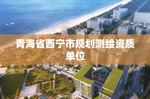 青海省西宁市规划测绘资质单位